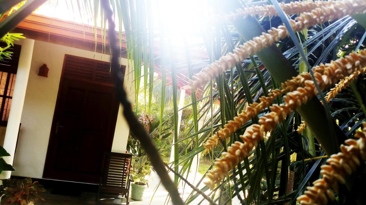 Eagle Homestay Tangalle Exterior photo